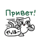 ロシア語を操るロシアの猫達スタンプ（個別スタンプ：4）