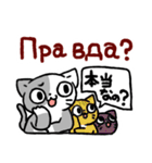ロシア語を操るロシアの猫達スタンプ（個別スタンプ：39）