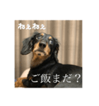 ラッキーアンラッキー（個別スタンプ：3）
