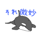 シャチたち3（個別スタンプ：2）