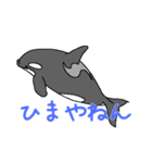 シャチたち3（個別スタンプ：3）