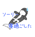 シャチたち3（個別スタンプ：5）