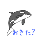 シャチたち3（個別スタンプ：9）