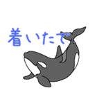 シャチたち3（個別スタンプ：13）