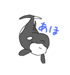 シャチたち3（個別スタンプ：16）