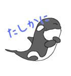 シャチたち3（個別スタンプ：19）