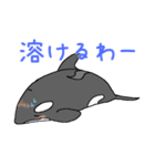 シャチたち3（個別スタンプ：25）