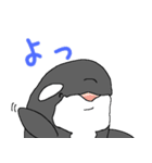 シャチたち3（個別スタンプ：30）