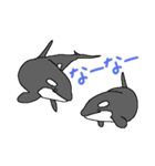 シャチたち3（個別スタンプ：31）