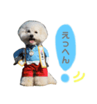 なっつんfamily 2（個別スタンプ：1）