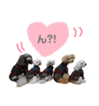 なっつんfamily 2（個別スタンプ：3）