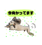 なっつんfamily 2（個別スタンプ：5）
