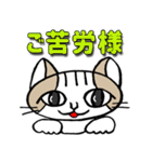 令猫の会話（個別スタンプ：11）