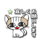 令猫の会話（個別スタンプ：16）