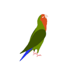 インコといろいろな鳥のスタンプ(Ver.6)（個別スタンプ：31）
