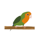 インコといろいろな鳥のスタンプ(Ver.6)（個別スタンプ：35）