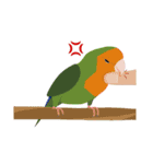 インコといろいろな鳥のスタンプ(Ver.6)（個別スタンプ：37）