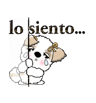 シーズー犬(スペイン語)（個別スタンプ：15）