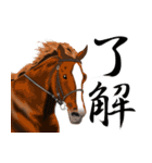 競馬大好き第8弾！会話で使おう！（個別スタンプ：5）