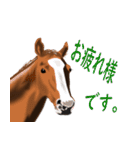 競馬大好き第8弾！会話で使おう！（個別スタンプ：12）