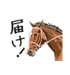 競馬大好き第8弾！会話で使おう！（個別スタンプ：16）