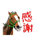 競馬大好き第8弾！会話で使おう！（個別スタンプ：21）