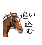 競馬大好き第8弾！会話で使おう！（個別スタンプ：24）