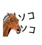 競馬大好き第8弾！会話で使おう！（個別スタンプ：26）