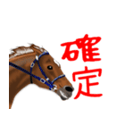 競馬大好き第8弾！会話で使おう！（個別スタンプ：30）