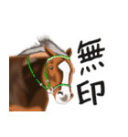 競馬大好き第8弾！会話で使おう！（個別スタンプ：37）