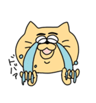 あしたも強く生きるねこ（個別スタンプ：11）