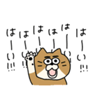 あしたも強く生きるねこ（個別スタンプ：15）