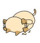 あしたも強く生きるねこ（個別スタンプ：20）