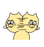 あしたも強く生きるねこ（個別スタンプ：37）
