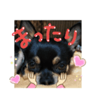 ふんふんのスタンプ♡（個別スタンプ：4）