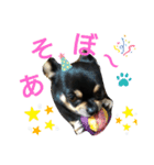 ふんふんのスタンプ♡（個別スタンプ：5）