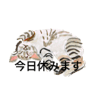 P会員猫のつぶやき（個別スタンプ：4）