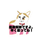 P会員猫のつぶやき（個別スタンプ：5）