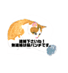 P会員猫のつぶやき（個別スタンプ：6）