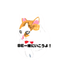 P会員猫のつぶやき（個別スタンプ：8）