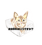 P会員猫のつぶやき（個別スタンプ：10）