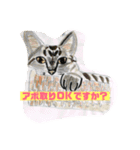 P会員猫のつぶやき（個別スタンプ：17）