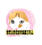 P会員猫のつぶやき（個別スタンプ：20）