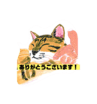 P会員猫のつぶやき（個別スタンプ：24）