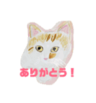 P会員猫のつぶやき（個別スタンプ：35）