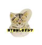 P会員猫のつぶやき（個別スタンプ：37）