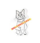 P会員猫のつぶやき（個別スタンプ：39）