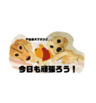 P会員猫のつぶやき（個別スタンプ：40）