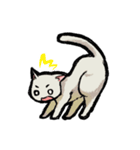 猫と犬 シンプル（個別スタンプ：4）