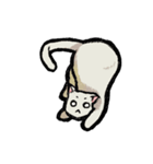猫と犬 シンプル（個別スタンプ：5）